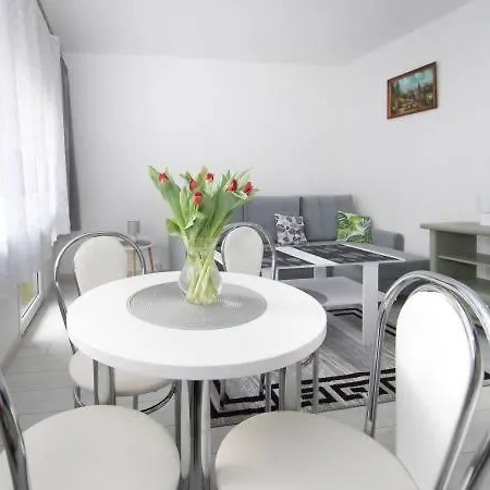 Nowakowka 2 Sypialnie W Centrum Stronia Slaskiego